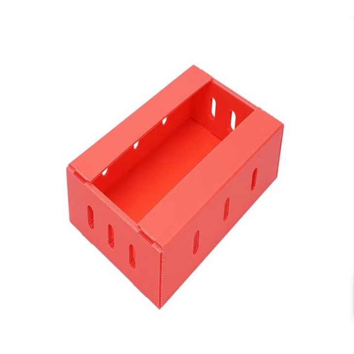 Foldable Corflute Plastic Box