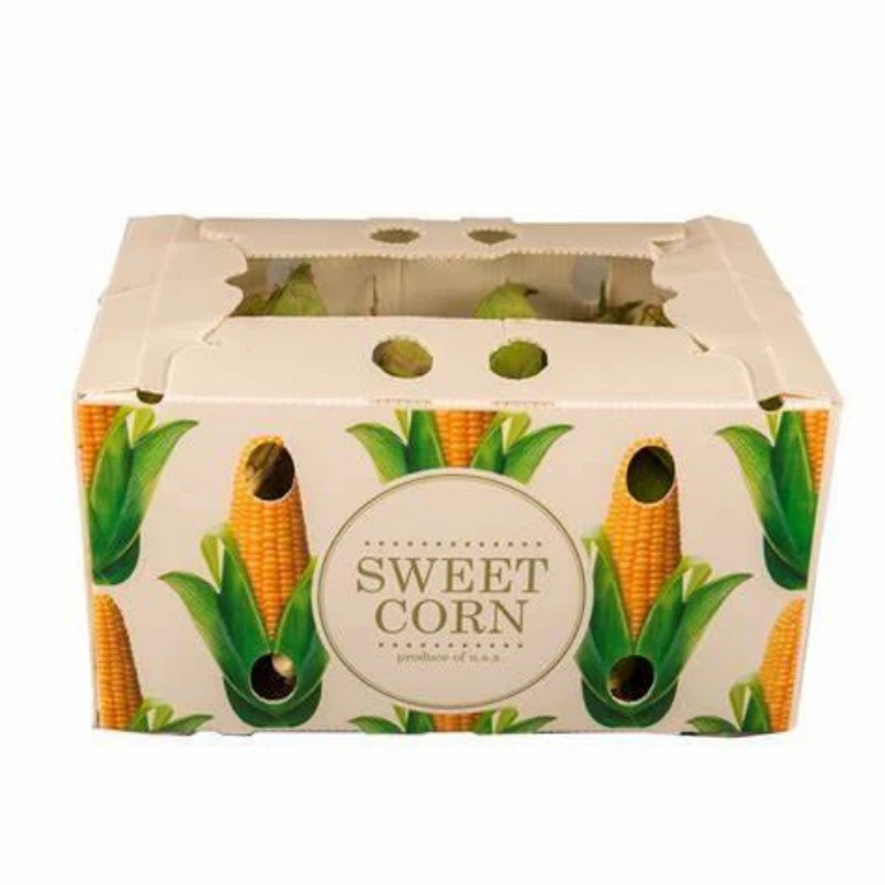 Customizable PP Packing Boxes Customizable PP Packing Boxes