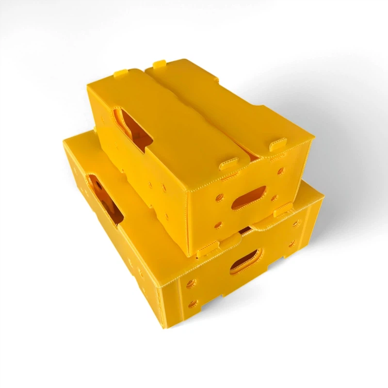 Vegetable Fruit PP Hollow Box Vegetable Fruit PP Hollow Box