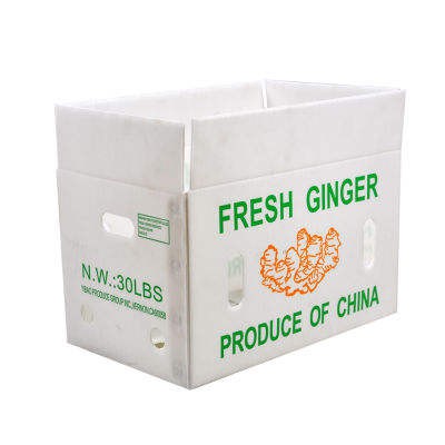 Kokkupandav värske puu-köögivilja Coroplasti kast